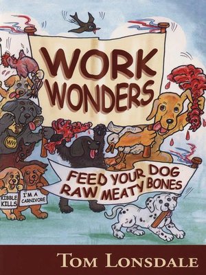 cover image of WORK WONDERS
